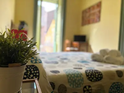 Letto o letti in una camera di Zhara Buda