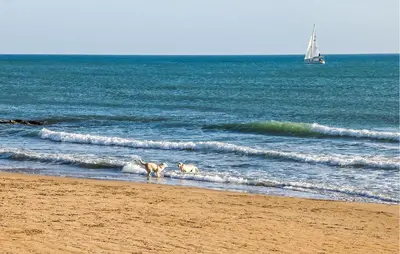 Paesaggio naturale nelle vicinanze della casa vacanze