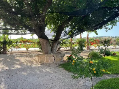 Giardino di Apartment in Noto mit Terrasse- Garten und gemeinsamem Pool by Interhome