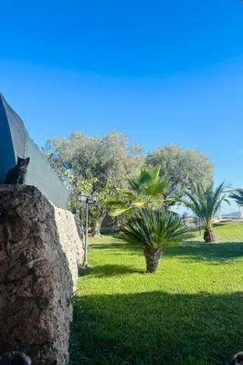 Giardino di Holiday Home Villa Casale Bagni mit eigenem Pool by Interhome