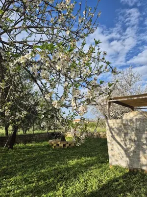 Giardino di Villa Noemi