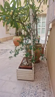 Giardino di Ortigia Artemide SPA