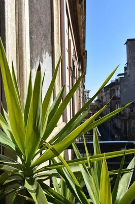 Planimetria di Retrò House