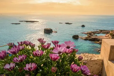 Paesaggio naturale nelle vicinanze della casa vacanze