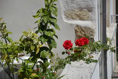 Giardino di Pantalica Rooms Affittacamere Sortino Siracusa