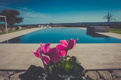Piscina di La Mela Di Venere o nelle vicinanze