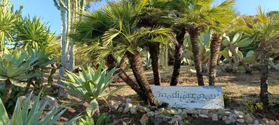 Giardino di B&B Villa Ziella