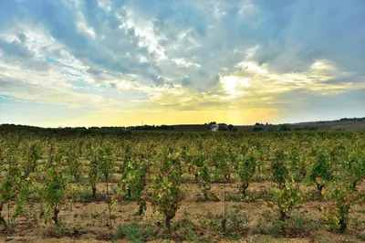 Paesaggio naturale nelle vicinanze dell'agriturismo