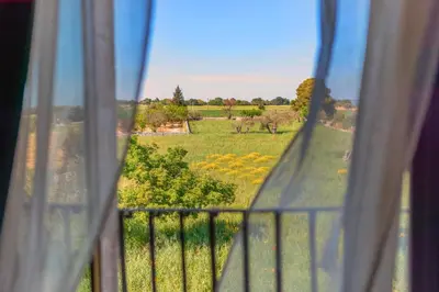 Planimetria di Torre Don Virgilio Country Hotel
