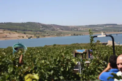 Paesaggio naturale nelle vicinanze dell'appartamento