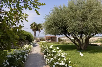 Giardino di Masseria del Carrubo