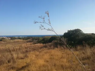 Planimetria di Casa Vacanze Portopalo di Capopassero