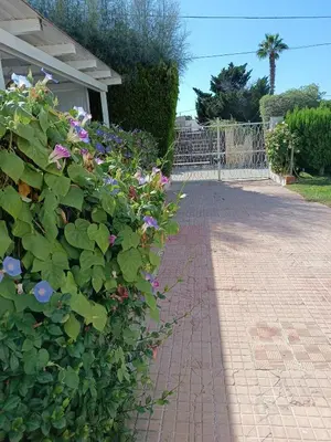 Giardino di Sottovento Marzamemi Rooms&Relax