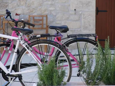 Attività di ciclismo presso il resort o nelle vicinanze