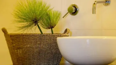Bagno di Villa Dei Papiri Fonte Ciane