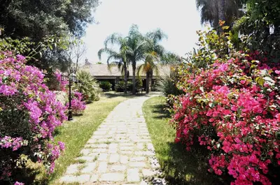 Giardino di Villa Dei Papiri Fonte Ciane