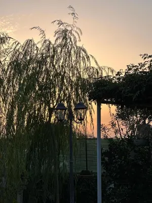 Alba o tramonto visti dall'interno della stanza in casa privata o dai dintorni