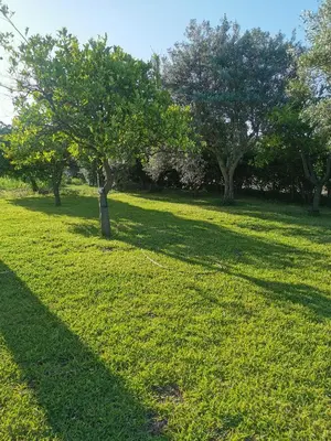 Giardino di Villa Cristina