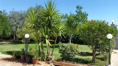 Giardino di Villa Cristina