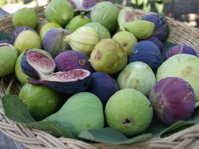 Cibo presso la casa vacanze o nelle vicinanze