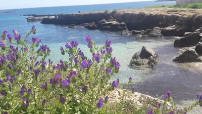Paesaggio naturale nelle vicinanze del bed & breakfast