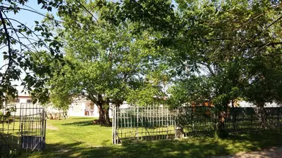 Giardino di Villa Luna a pochi passi dalla spiaggia