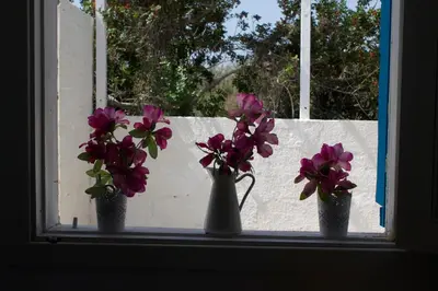 Giardino di Villa Porto Ulisse