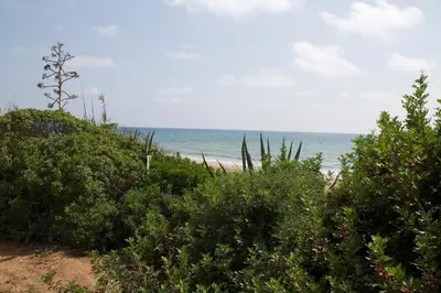 Paesaggio naturale nelle vicinanze della casa vacanze