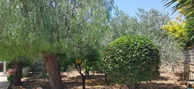 Giardino di Profumo di Mare Fronte Spiaggia