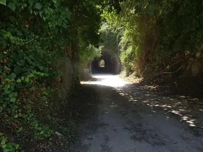 Paesaggio naturale nelle vicinanze della villa