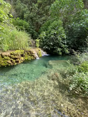 Paesaggio naturale nelle vicinanze della villa