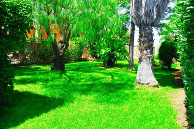 Giardino di Happy Holiday Villa - Pool & Garden