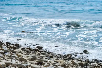 Paesaggio naturale nelle vicinanze dell'appartamento