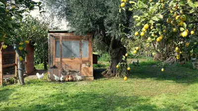 Giardino di Giardino di Limoni eco friendly villa pool