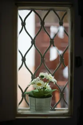 Cibo presso il bed & breakfast o nelle vicinanze