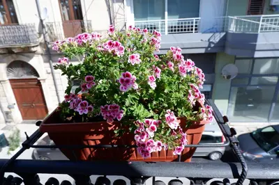 Balcone o terrazza di Sikania Residence