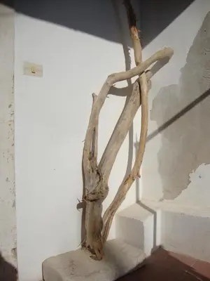 Planimetria di Il Nido di Diana in Ortigia