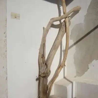 Il Nido di Diana in Ortigia