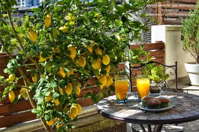 Cibo presso l'appartamento o nelle vicinanze