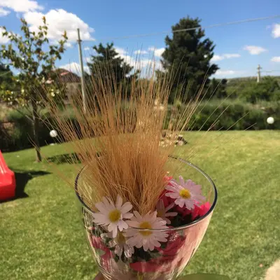 Giardino di Agriturismo Villa Gaia