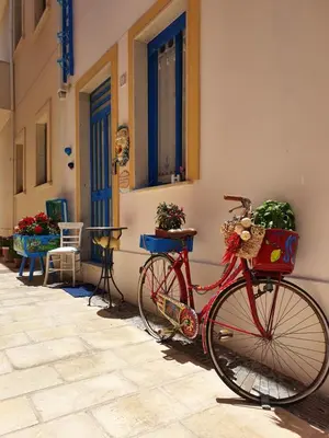Attività di ciclismo presso la casa vacanze o nelle vicinanze