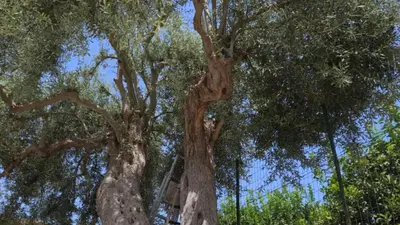 Paesaggio naturale nelle vicinanze dell'appartamento