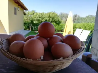 Planimetria di Sicilian Garden