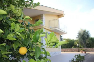 Edificio in cui si trova l'appartamento