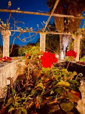 Giardino di Agriturismo Villa Flavia