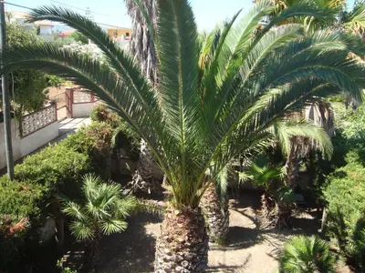Giardino di Villa degli Angeli