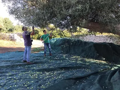 Ospiti di Casa Farfaglia