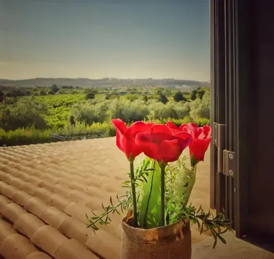 Paesaggio naturale nelle vicinanze del bed & breakfast