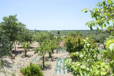 Paesaggio naturale nelle vicinanze of country house