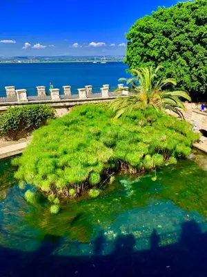 Paesaggio naturale nelle vicinanze della casa vacanze